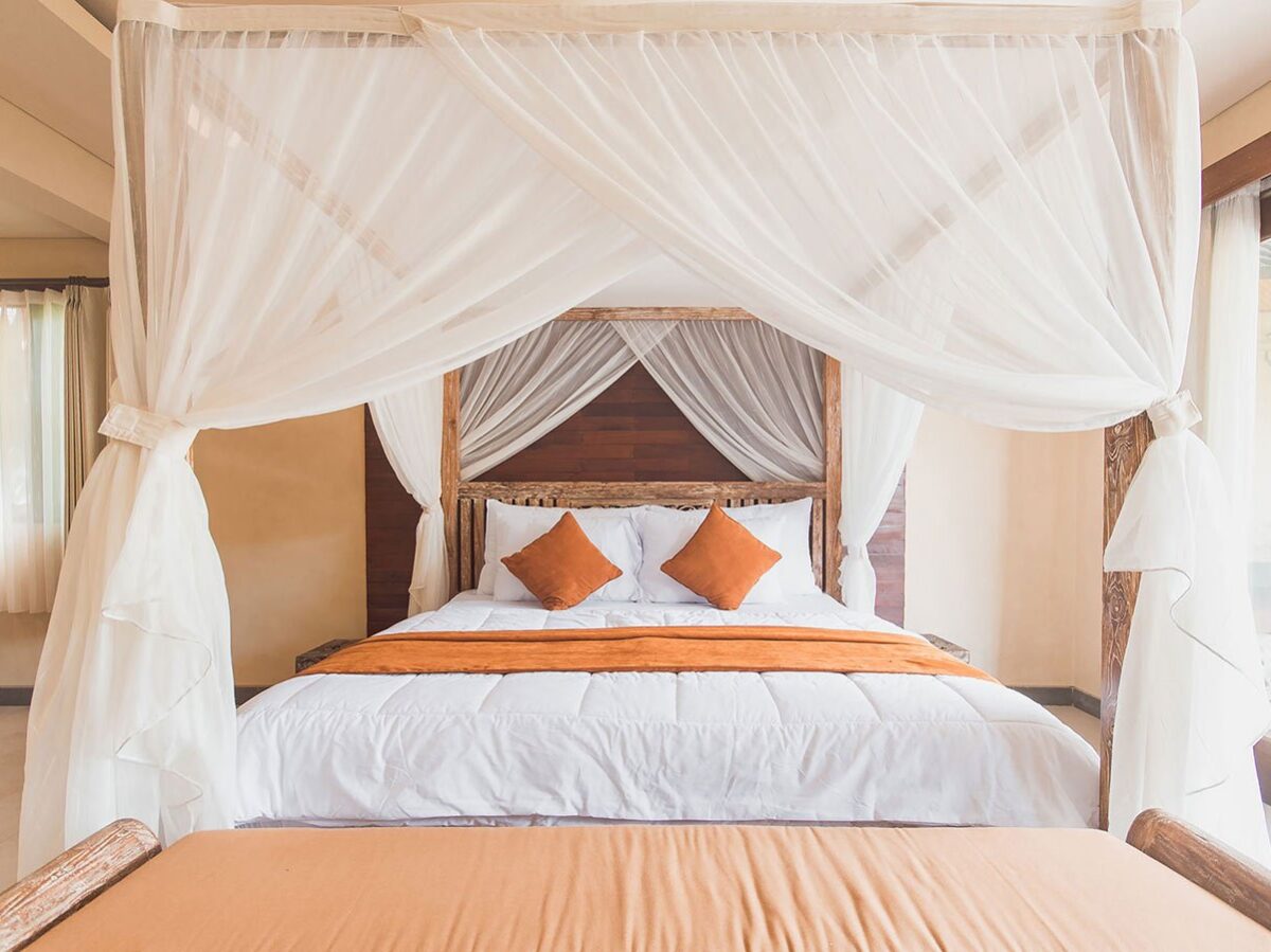 Maecenas ullamcorper